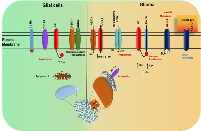 Diagram, schematic

Description automatically generated