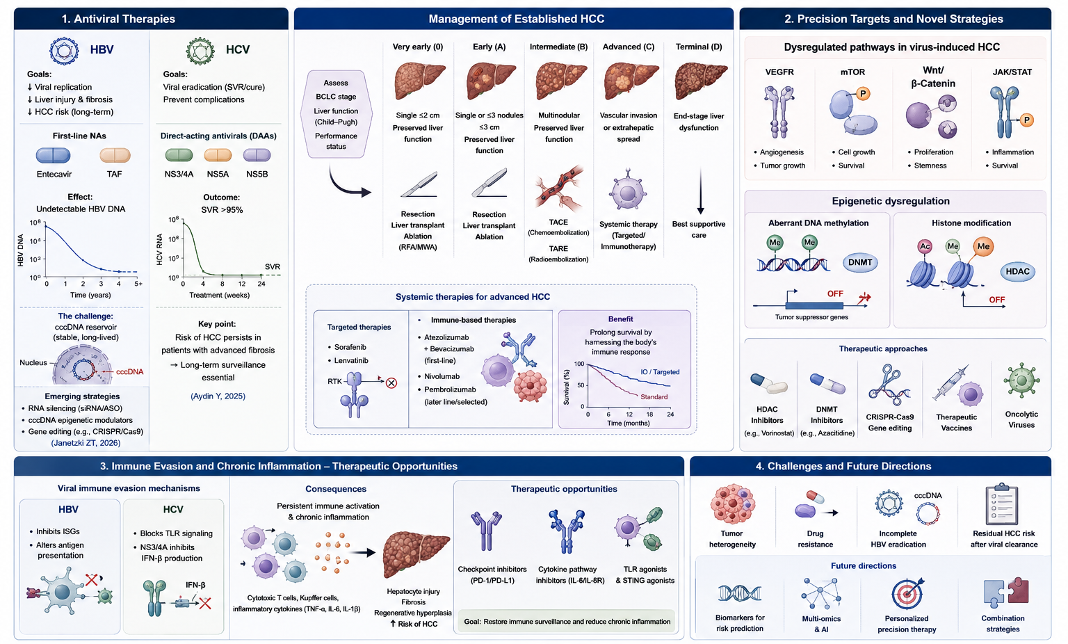 Clinical management of established HCC, precision therapeutic targets, immune evasion mechanisms, and future challenges in viral hepatitis eradication.